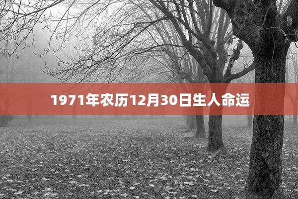 1971年农历12月30日生人命运