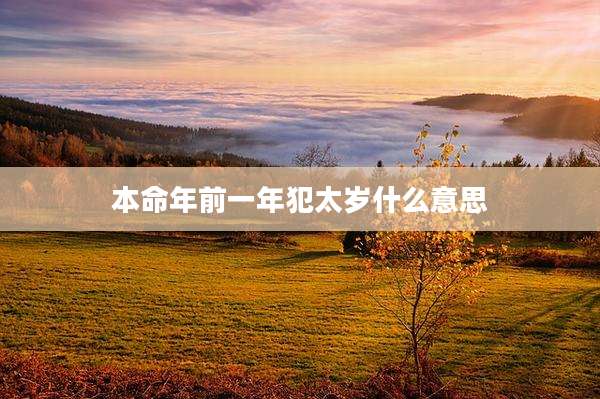 本命年前一年犯太岁什么意思