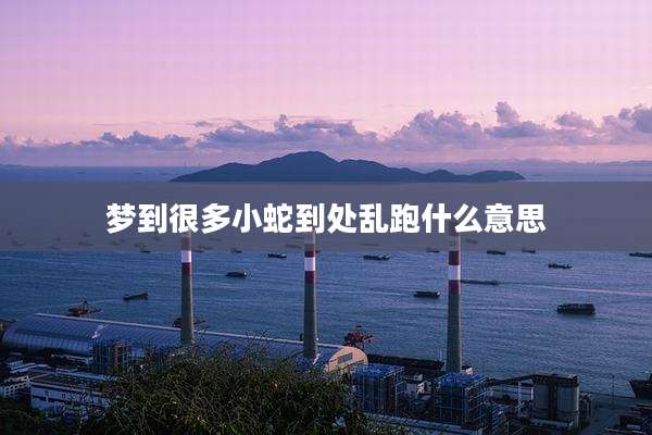 梦到很多小蛇到处乱跑什么意思