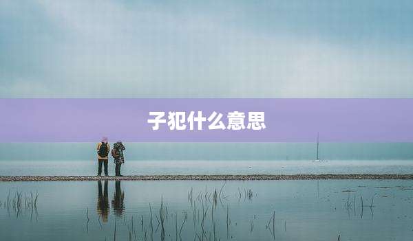 子犯什么意思