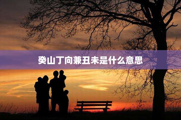 癸山丁向兼丑未是什么意思