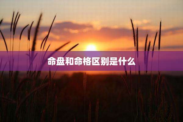 命盘和命格区别是什么