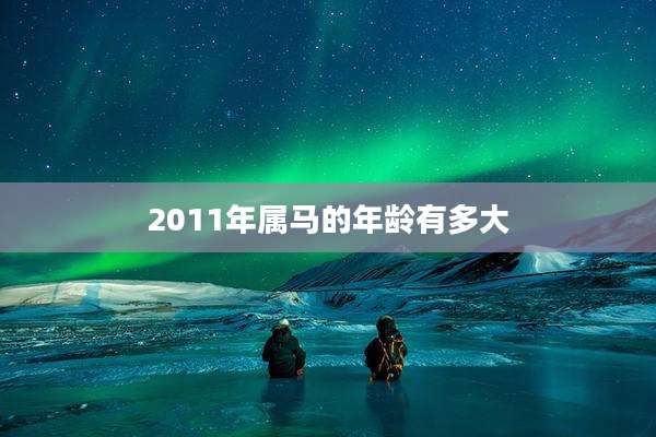 2011年属马的年龄有多大
