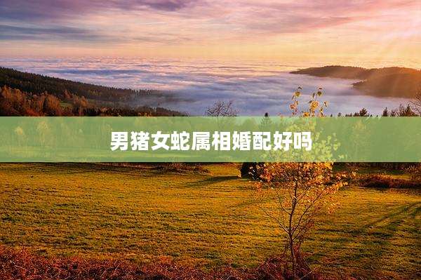 男猪女蛇属相婚配好吗