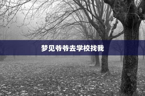 梦见爷爷去学校找我