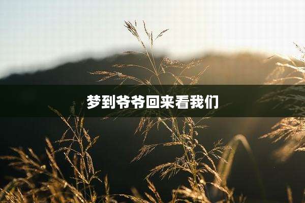 梦到爷爷回来看我们