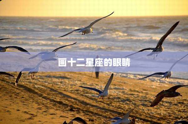 画十二星座的眼睛