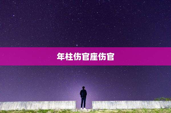 年柱伤官座伤官