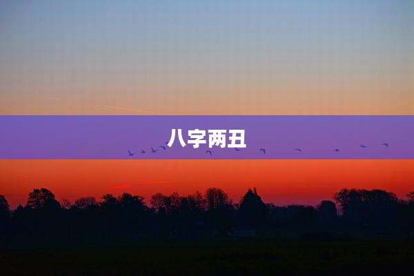 八字两丑