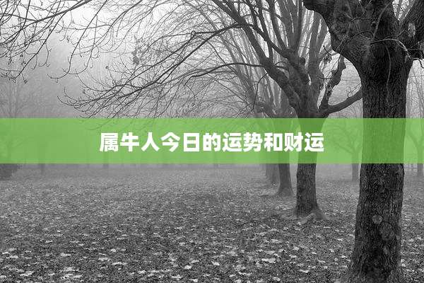 属牛人今日的运势和财运