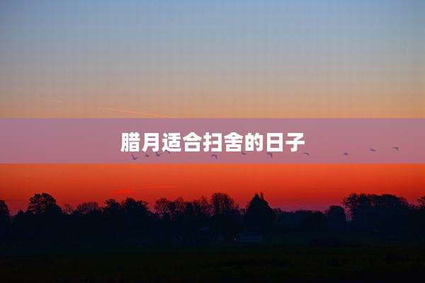 腊月适合扫舍的日子