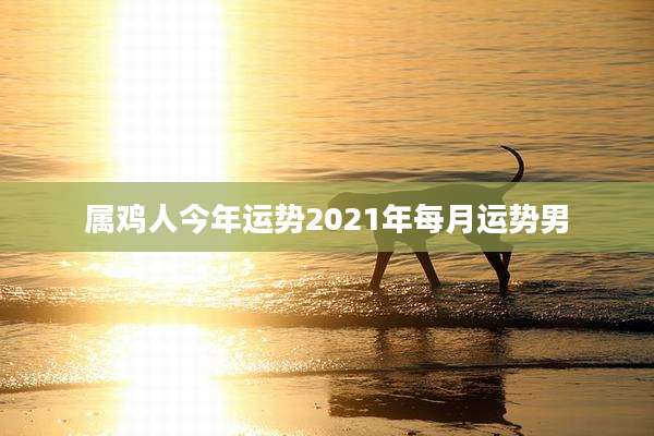 属鸡人今年运势2021年每月运势男