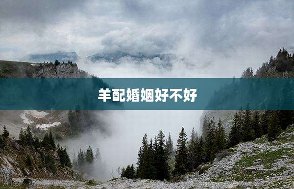 羊配婚姻好不好