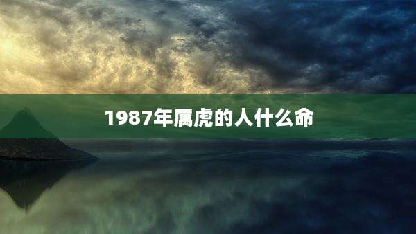 1987年属虎的人什么命
