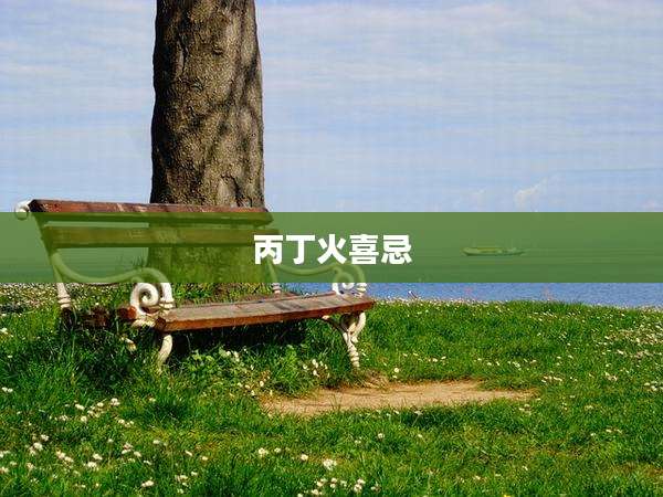 丙丁火喜忌