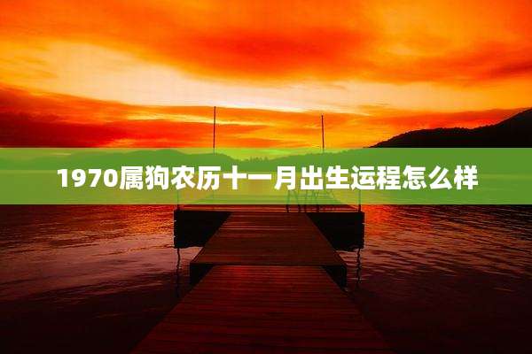 1970属狗农历十一月出生运程怎么样