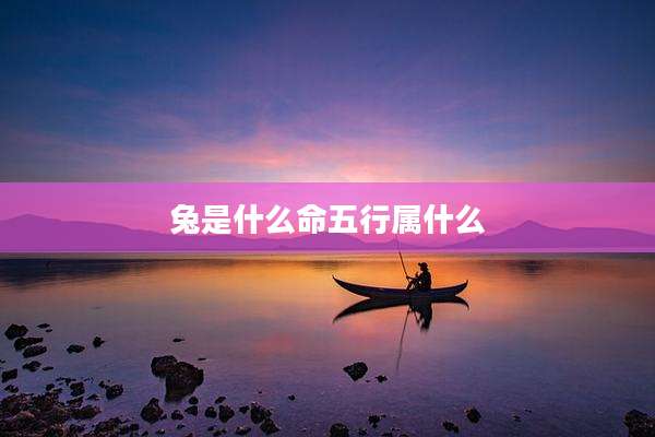兔是什么命五行属什么