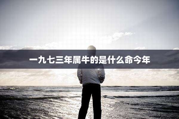 一九七三年属牛的是什么命今年