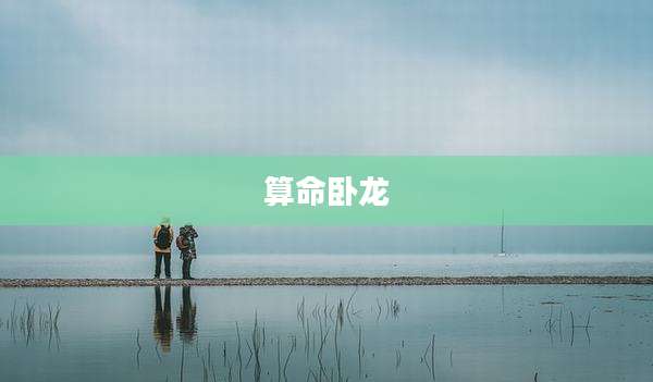 算命卧龙