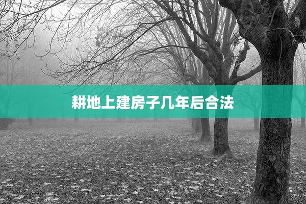 耕地上建房子几年后合法