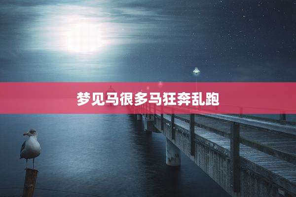 梦见马很多马狂奔乱跑