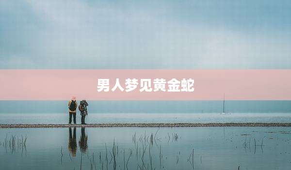 男人梦见黄金蛇