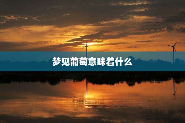 梦见葡萄意味着什么