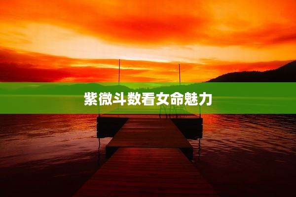 紫微斗数看女命魅力
