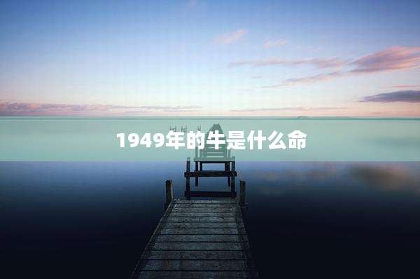 1949年的牛是什么命