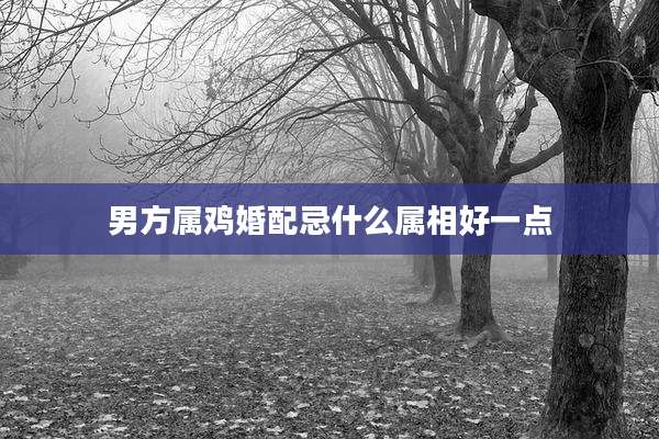 男方属鸡婚配忌什么属相好一点
