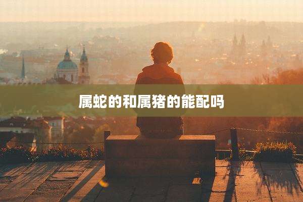 属蛇的和属猪的能配吗
