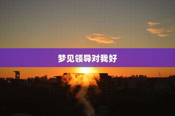 梦见领导对我好