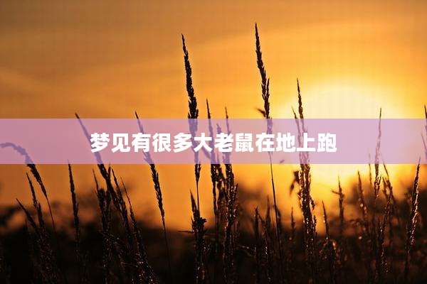 梦见有很多大老鼠在地上跑
