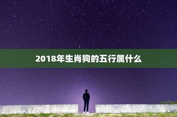 2018年生肖狗的五行属什么