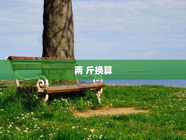 两 斤换算