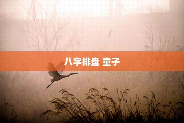 八字排盘 童子