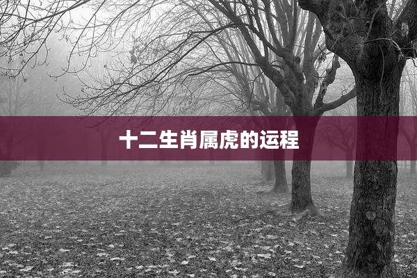 十二生肖属虎的运程