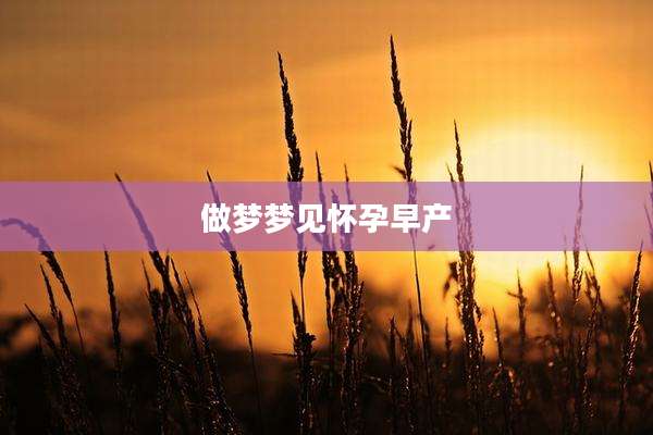 做梦梦见怀孕早产
