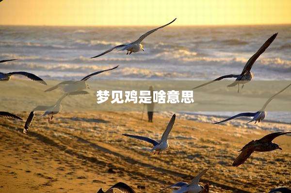 梦见鸡是啥意思