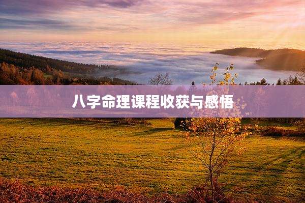 八字命理课程收获与感悟