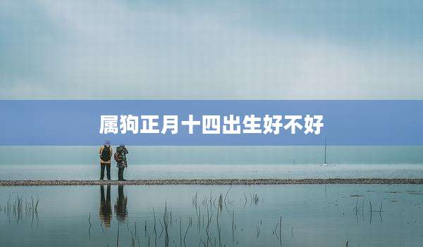 属狗正月十四出生好不好