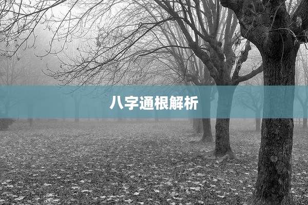 八字通根解析
