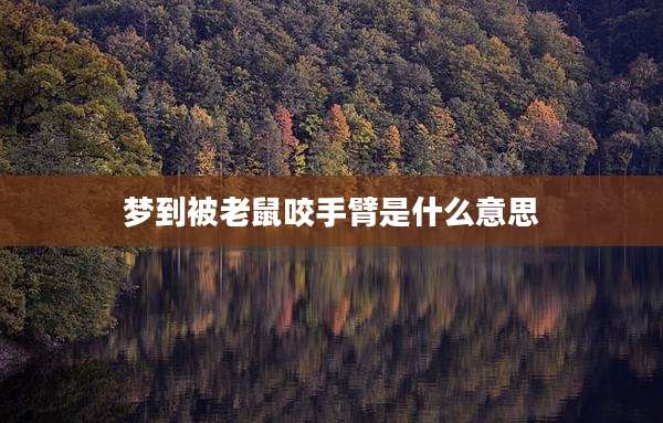 梦到被老鼠咬手臂是什么意思