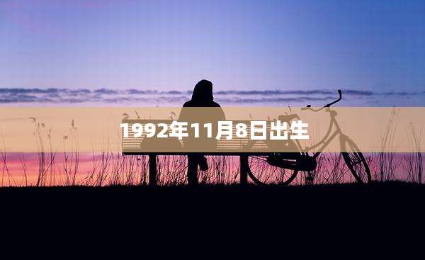 1992年11月8日出生