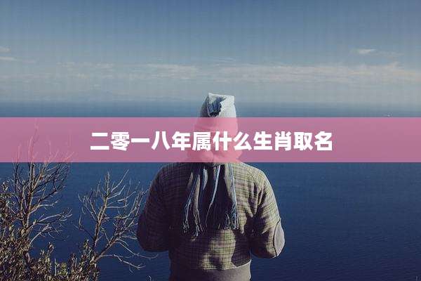 二零一八年属什么生肖取名