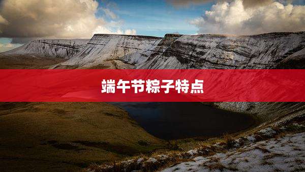 端午节粽子特点
