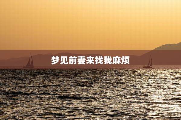 梦见前妻来找我麻烦