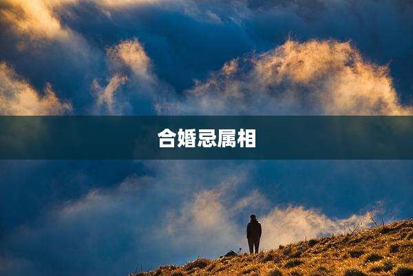 合婚忌属相