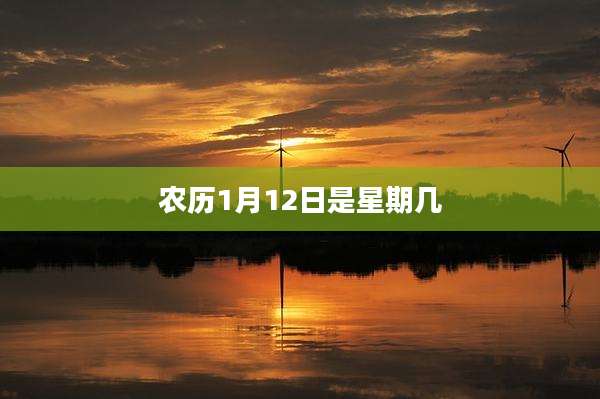 农历1月12日是星期几