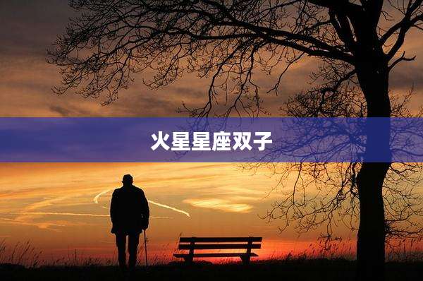 火星星座双子